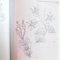1000 GREAT GLASS PAINTER ' S MOTIFS by ALAN D. GEAR AND BARRY L. FREESTONE , 2001