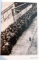7 DECEMBRIE 1941 PEARL HARBOR LA FRANCE LIBRE AUX ETATS UNIS , 2009