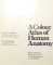 A COLOUR ATLAS OF HUMAN ANATOMY de R. M. H. MCMINN SI R. T. HUTCHINGS , 1977