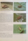 A COLOUR ATLAS OF PESTS OF ORNAMENTAL , TREES , SHRUBS AND FLOWERS by DAVID V. ALFORD , 1991 & 1995