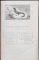 A. E. BREHM, MERVEILLES DE LA NATURE, LES REPTILES ET LES BATRACIENS par E. SAUVAGE - PARIS, 1889