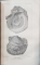 A. E. BREHM, MERVEILLES DE LA NATURE, LES VERS, LES MOLLUSQUES par Dr. A. T. DE ROCHEBRUNE - PARIS, 1882