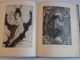 A RECORD OF HIS LIFE ART TOGETHER WITH AN ESSAY ON STYLE BY THE ARTIST de PAUL THEVENAZ 1922