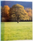 A THOUSAND ROUTES THROUGH NAVARRE de JAVIER PAGOLA LORENTE, 2000