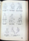 ACUPUNCTURA DE LA TRADITIE LA STIINTELE MODERNE de DR.DUMITRU CONSTANTIN,DR.CONSTANTIN IONESCU , 1988