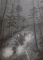 AGATHA MISTERY , JAF LA CASCADA NIAGARA de SIR STEVE STEVENSON , ILUSTRATII de STEFANO TURCONI , 2014
