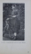 ALBANICA , INTRODUCERE IN STUDIUL FILOLOGIEI ALBANEZE - VOL. I : TARA SI OAMENII / TRECUTUL SI PREZENTUL de ANTON B. I. BALOTA , 1936 DEDICATIE*