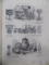 Albumul vietii lui Cezar, colectie de desene executate de Henry de Montaut, Paris 1865