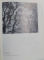 ALEXANDRU ZIFFER de STEFAN BORGHIDA , 1968