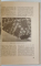 ALMANAHUL STUPARULUI , 1949