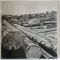 ALPINUM FORUM , 1965