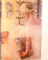 ALTDORFER ET LE REALISME FANTASTIQUE DANS L' ART ALLEMAND , 1984