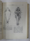 ANATOMIA ANIMALELOR DOMESTICE de GHETIE V. , 1957 , PREZINTA URME DE UZURA *
