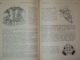 ANATOMIA COMPARATA A VERTEBRATELOR ,VOL I de G.T.DORNESCU , O.C. NECRASOV