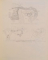 ANATOMIA DEZVOLTARII OMULUI , EMBRIOLOGIE MEDICALA de ARMAND ANDRONESCU , 1987