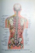 ANATOMICAL ATLAS OF CHINESE ACUPUNCTURE POINTS , 1990
