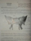 ANATOMIE HUMAINE DESCRIPTIVE ET TOPOGRAPHIQUE de H. ROUVIERE, 3 VOLUME  1943