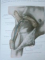 ANATOMIE HUMAINE.DESCRIPTIVE,TOPOGRAPHIQUE ET FUNCTIONNELLE - HENRI ROUVIERE , ANDRE DELMAS  TOME 3  2002