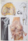 ANATOMIE TEXT UND ATLAS, DEUTSCHE UND LATEINISCHE BEZEICHNUNGEN de HERBERT LIPPERT, VOL. V, 1989