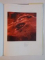 ANCESTORS OF ALLERGY  by F. ESTELLE , R. SIMONS , 1994
