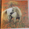 ANDALUSIAN HORSES by TOMAS MICEK , 1994