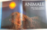ANIMALE, GHID VIZUAL COMPLET AL LUMII SALBATICE, O CARTE DORLING KINDERSLEY de DAVID BURNIE, 2006