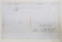ARAD , PODUL CAROL , CARTE POSTALA ILUSTRATA , INTERBELICA