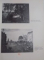 ARCADES , CAHIERS DES LETTRES ET DES ARTS , VOL 6 , 1949