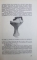ARHEOLOGIA PREISTORICA A OLTENIEI de D. BERCIU , 1939