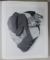 ARP 1886 -1966 , ALBUM DE ARTA IN LIMBA ENGLEZA , 1987