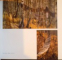ART FOREST , 2008