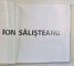 ARTISTI PLASTICI ROMANI CONTEMPORANI , ION SALISTEANU , 2009