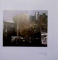 ARTISTI ROMI IN ARTA CONTEMPORANA/ROMA ARTISTS IN CONTEMPORARY ART
