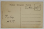 A.S.R. PRINCIPESA  MARIA CU PRINCIPII  CAROL SI NICOLAE , PRINCIPESELE MARIOARA SI ELISABETA , INCEPUTUL SEC , XX , FOTOGRAFIE TIP CARTE POSTALA
