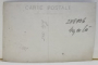 '' ASTRA ROMANA '' EXPLOATARE PETROLIERA , IMAGINE DE ANSAMBLU IN ZONA PREMONTANA , FOTOGRAFIE TIP CARTE POSTALA , 1925