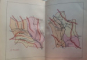 ATLAS AL ROMANIEI , CUPRINDE HARTI DESENATE SI COLORATE MANUAL , SEMNATE A . TOUSSAINT , DATAT 1903