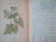 ATLAS COLORIE DES PLANTES MEDICINALES par PAUL HARIOT , Paris 1900