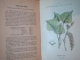 ATLAS COLORIE DES PLANTES MEDICINALES par PAUL HARIOT , Paris 1900