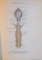 ATLAS DE ANATOMIA HUMANA de R.D. SINELNIKOV , TOMO II , 1976