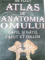 ATLAS DE ANATOMIA OMULUI.CAPUL SI GATUL/CAPUT ET COLLUM-ION PASAT  1995