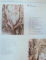 ATLAS DE ANATOMIA OMULUI.CAPUL SI GATUL/CAPUT ET COLLUM-ION PASAT  1995
