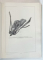 ATLAS DE ANATOMIE COMPARATIVA , VOLUMELE I - II de VASILE GHETIE , EUGEN PASTEA , ILIE RIGA , 1954