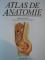 ATLAS DE ANATOMIE de TREVOR WESTON , 1997