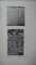 Atlas de fotomicrografie a plantelor medicinale, L. Braemer si A. Suis, Paris 1900