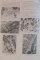 ATLAS DE PATOLOGIE EREDO-DEGENERATIVA NEURO-MUSCULARA de MIHAI POPESCU , 1989