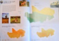 ATLAS GEOGRAFIC : AFRICA , VOL. 2 , 2008