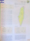 ATLAS GEOGRAFIC : ASIA , VOL. 4 , 2008