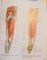 ATLAS OF ANATOMY by ANNE M. GILROY...LAWRENCE M. ROSS