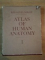 ATLAS OF HUMAN ANATOMY VOL. I , 1988 (ENGLEZA) de R. D. SINELNIKOV . COPERTA CONTINE HALOURI DE APA