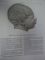 ATLAS OF HUMAN ANATOMY VOL.III 1990(ENGLEZA)-R.D.SINELNIKOV